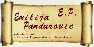 Emilija Pandurović vizit kartica